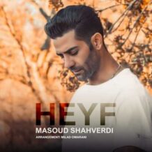 دانلود آهنگ جدید مسعود شاهوردی به نام حیف